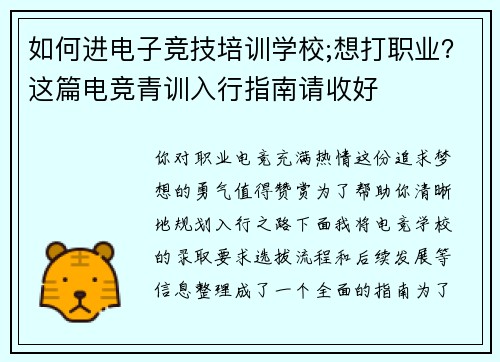 如何进电子竞技培训学校;想打职业？这篇电竞青训入行指南请收好